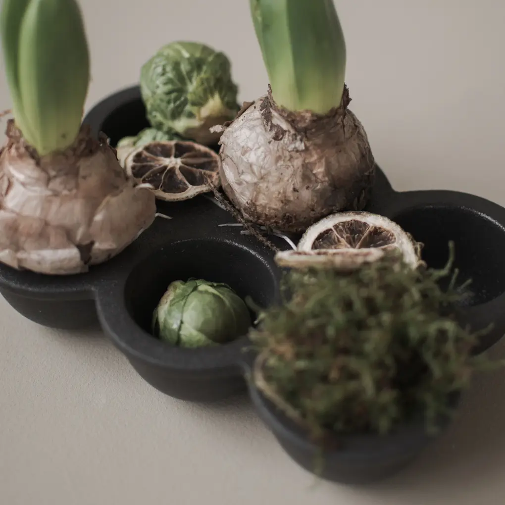 aw23_eggtray_square-2