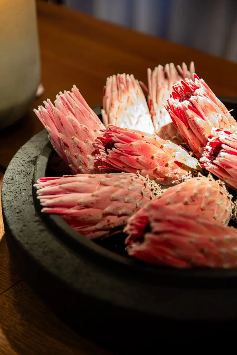 new-bowl-bernadette-18582542-en-max