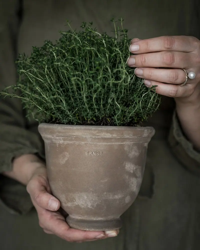 2644_d7658cb6fb653814ba76f377e7b0c451b549fe7e-min