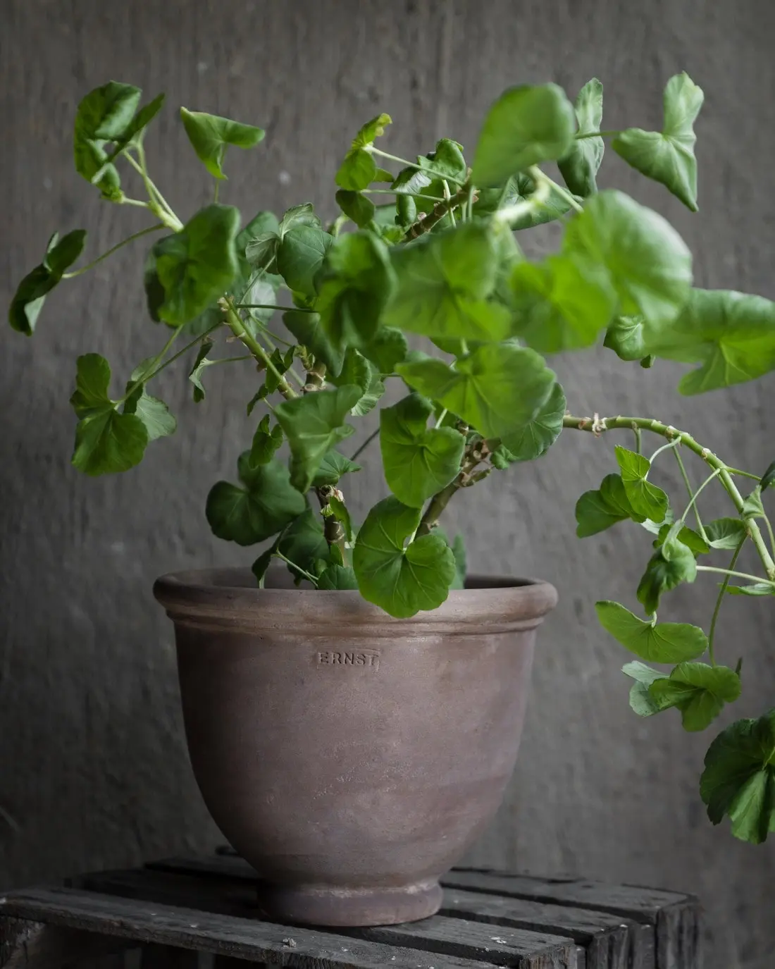 2644_fd453a273d2944dce8e016fed5c5bc11b1239c59-min