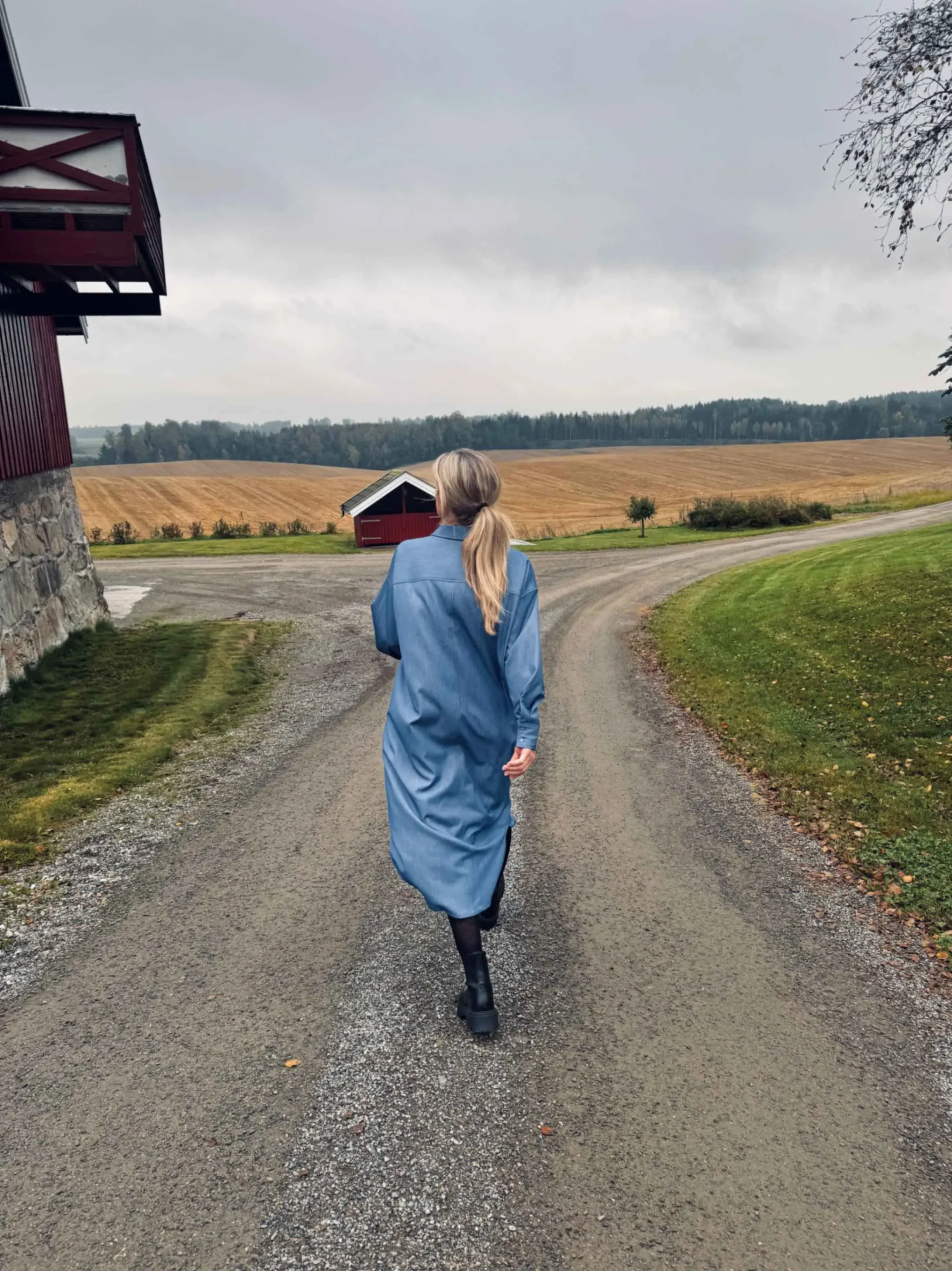 jpeg-optimizer_IMG_3254