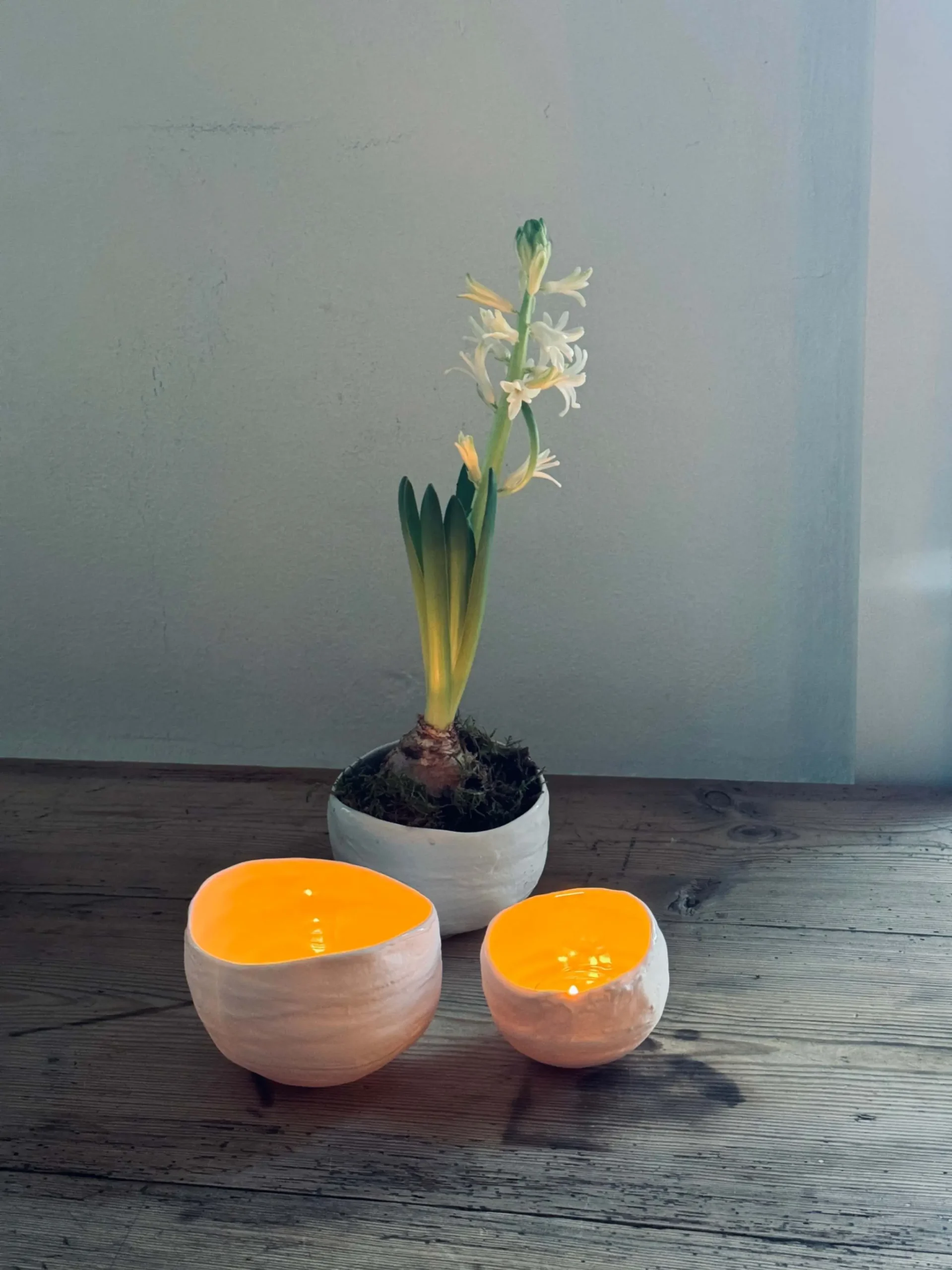 jpeg-optimizer_IMG_0911