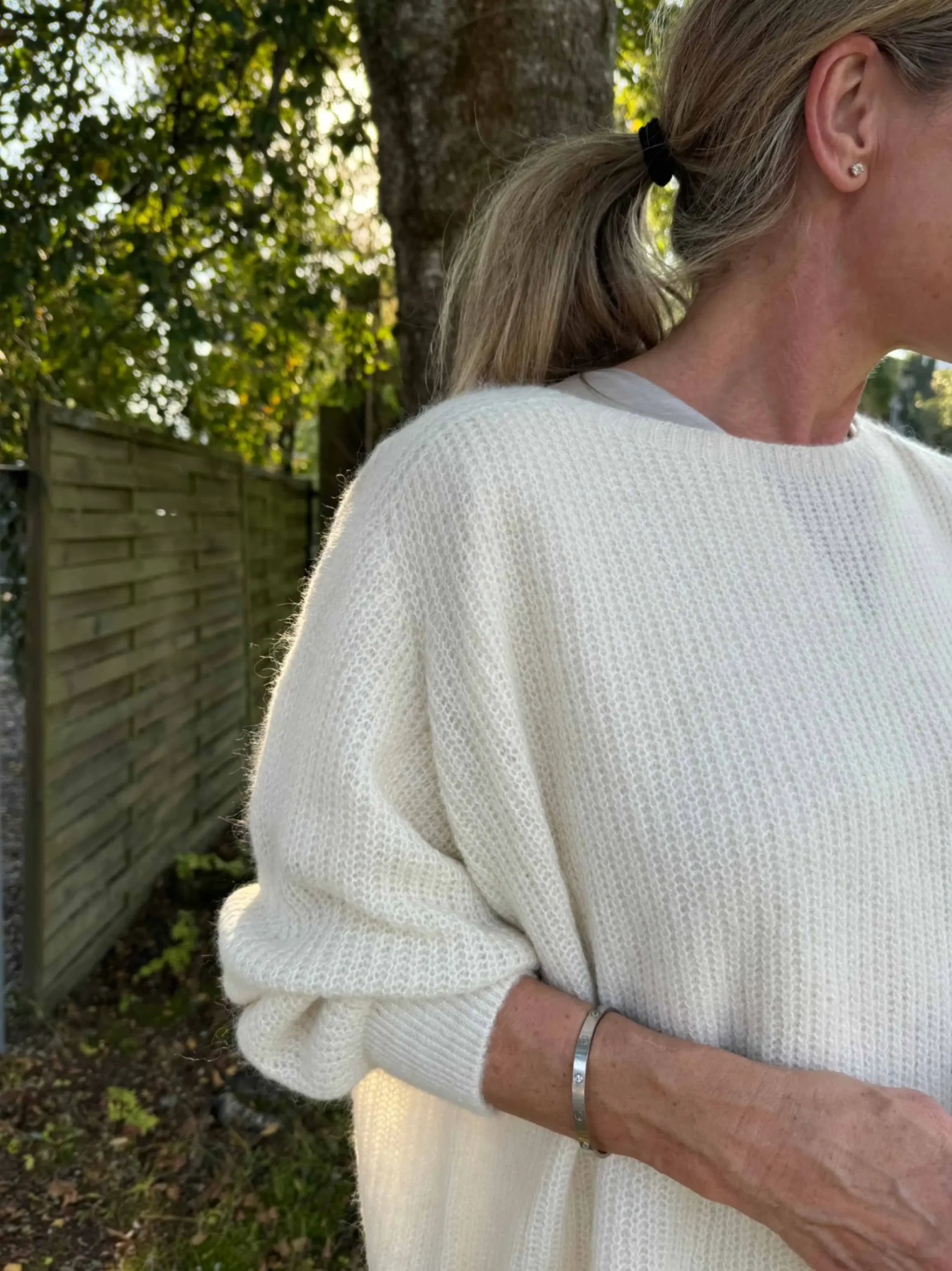 jpeg-optimizer_image00014