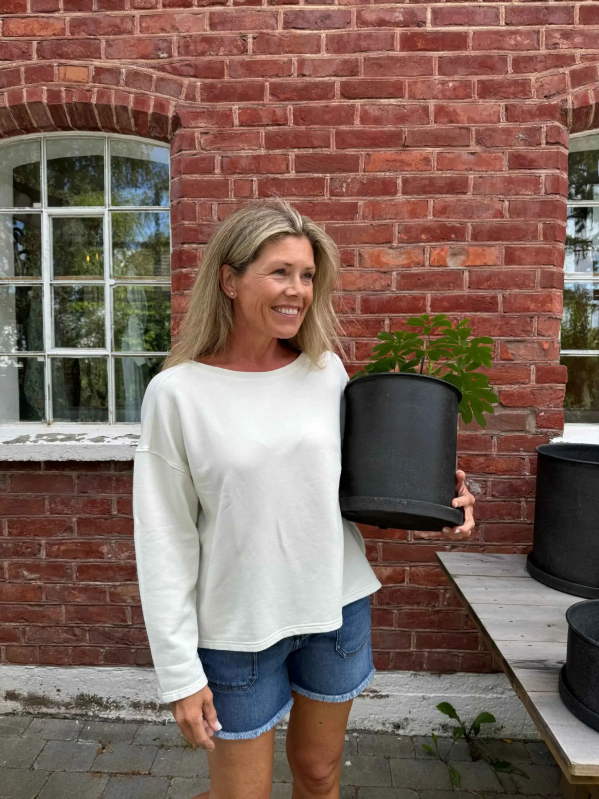 jpeg-optimizer_image00047