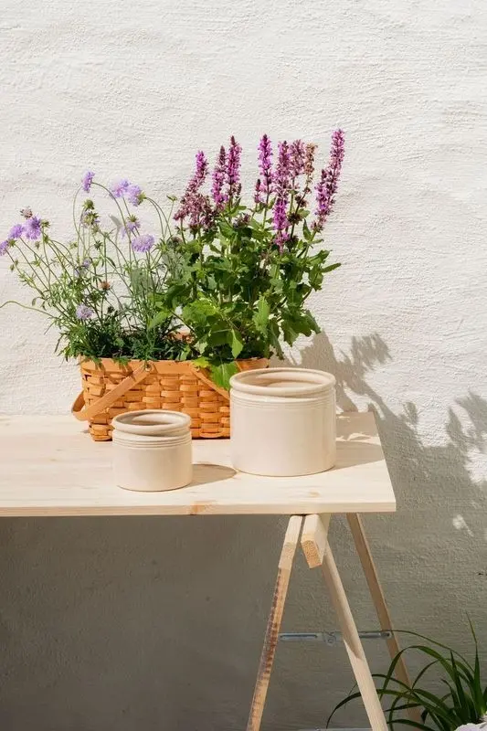 049c02a449ae4fa2a400fc77fa3e0df3-image