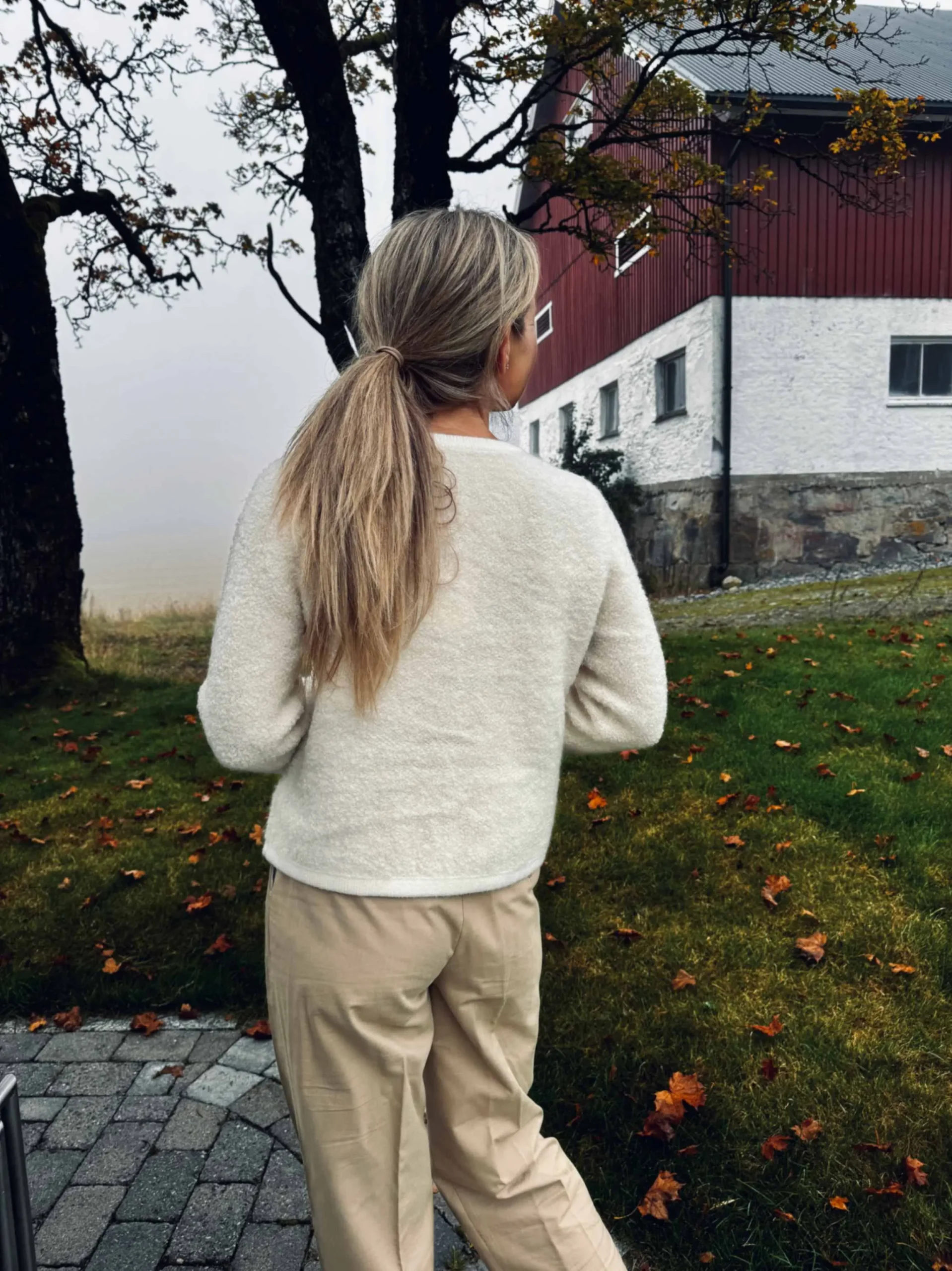 jpeg-optimizer_IMG_1981