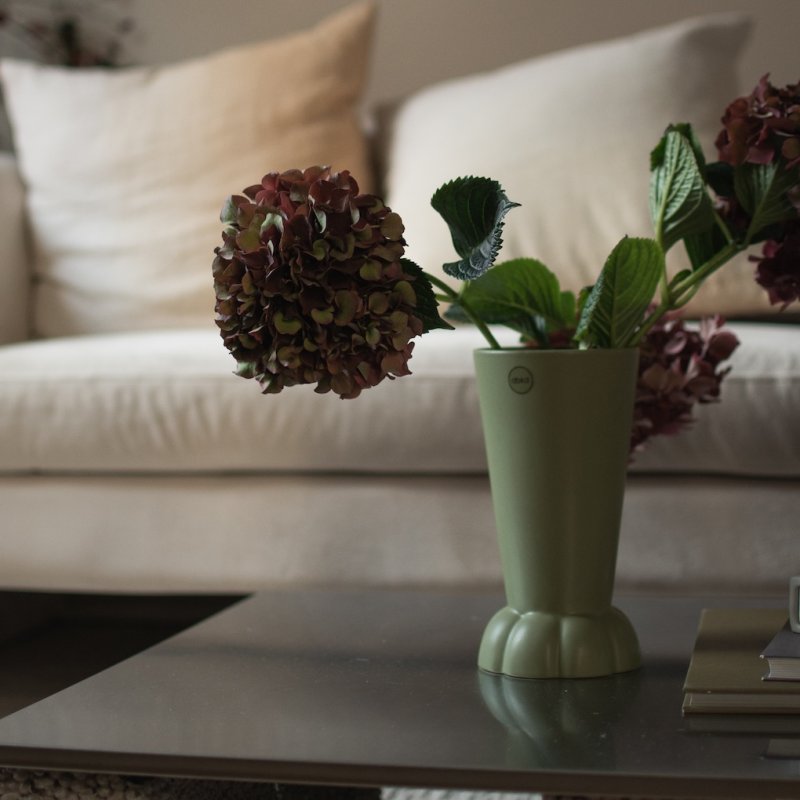 aw24_studio_in_flora_green-01