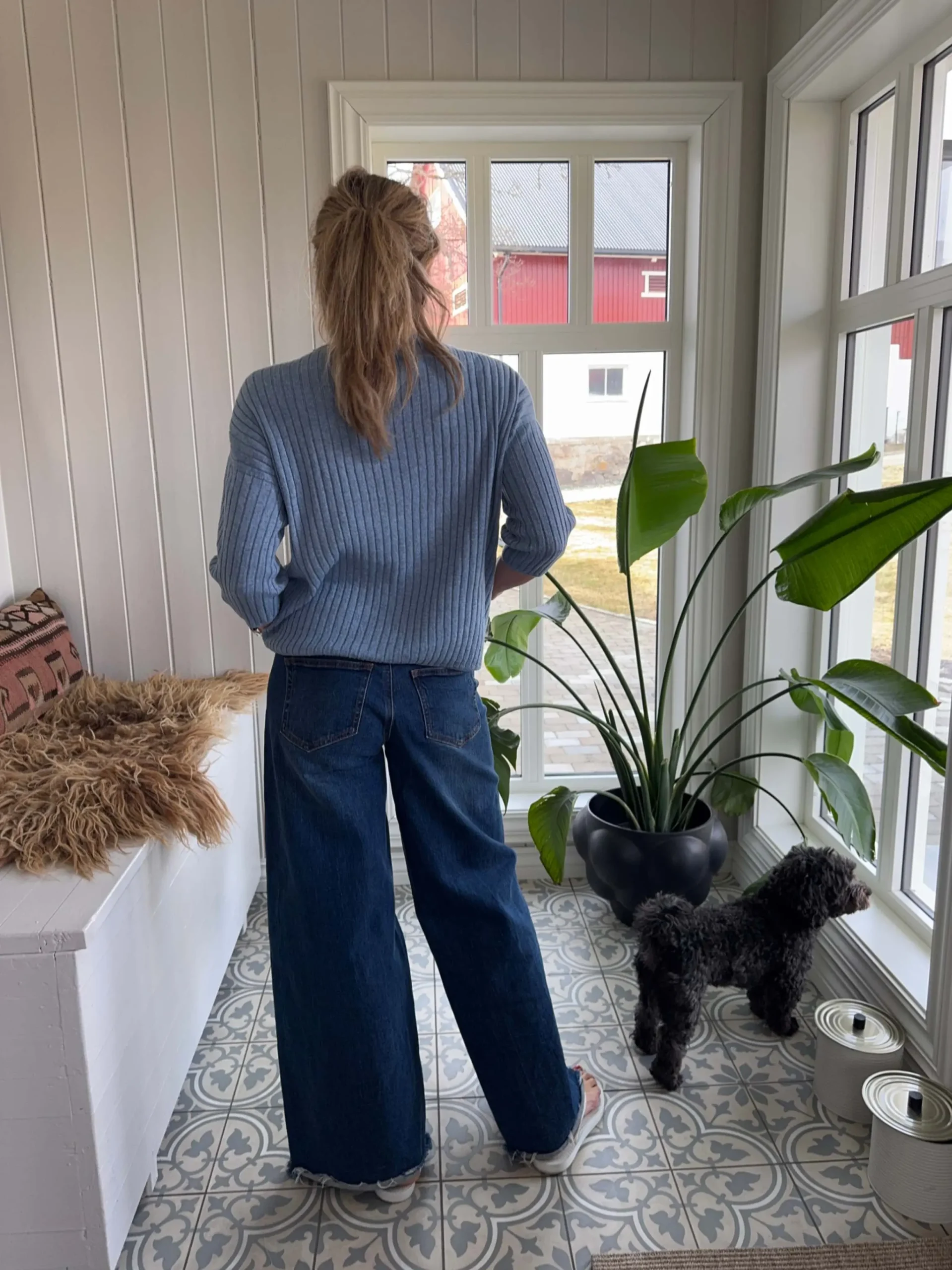 jpeg-optimizer_IMG_4325