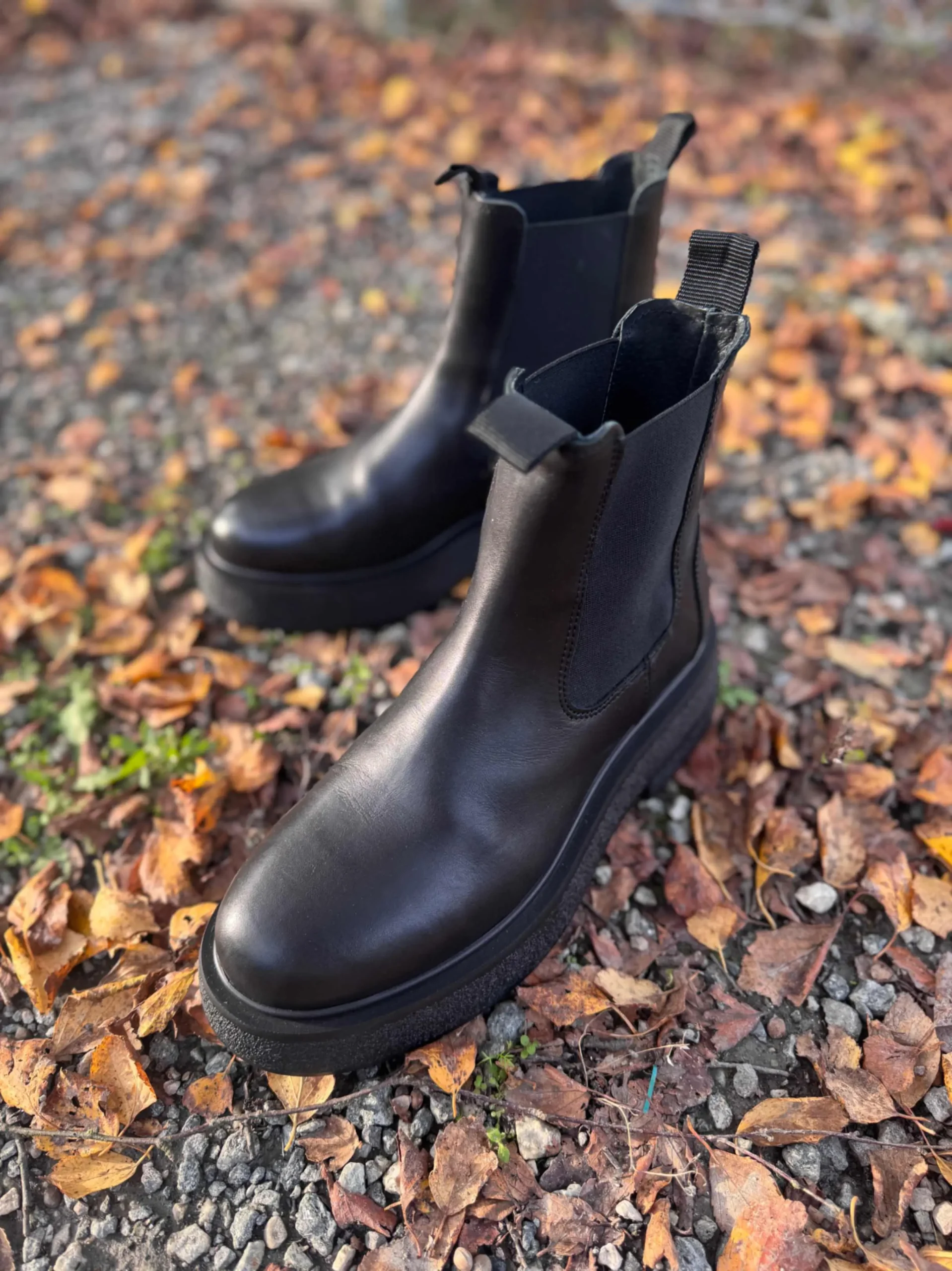 jpeg-optimizer_IMG_2572