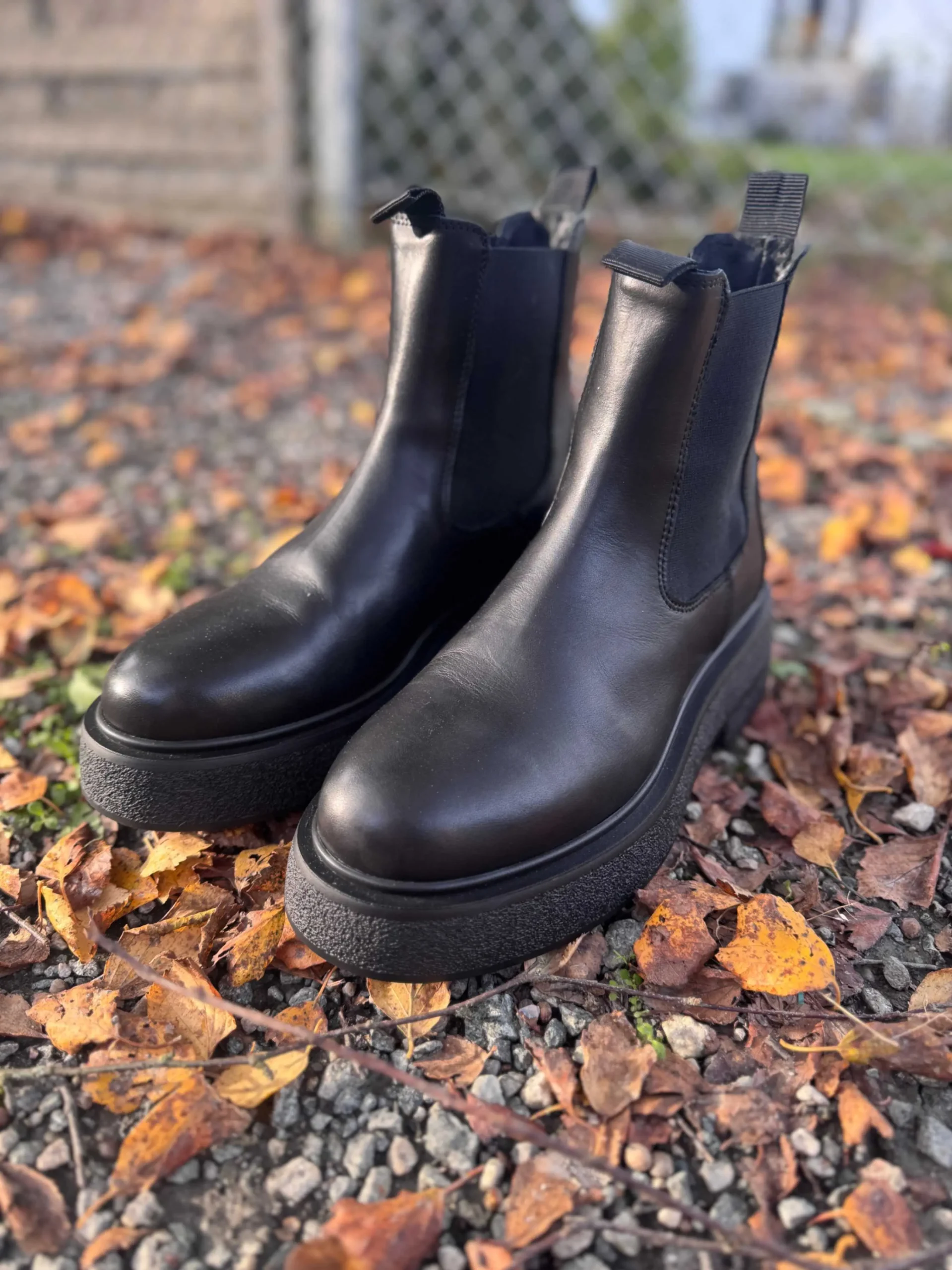 jpeg-optimizer_IMG_2575