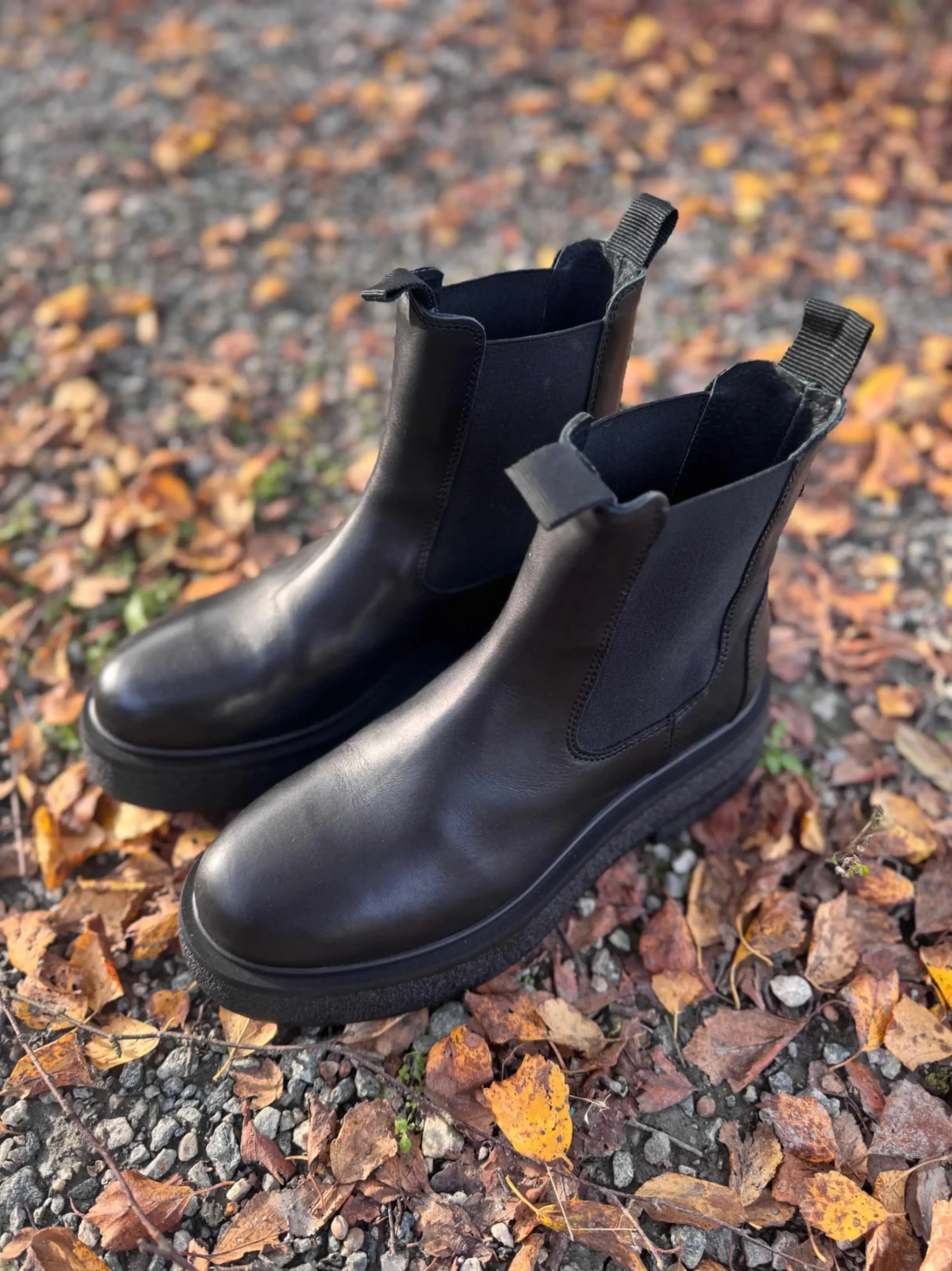 jpeg-optimizer_IMG_2577