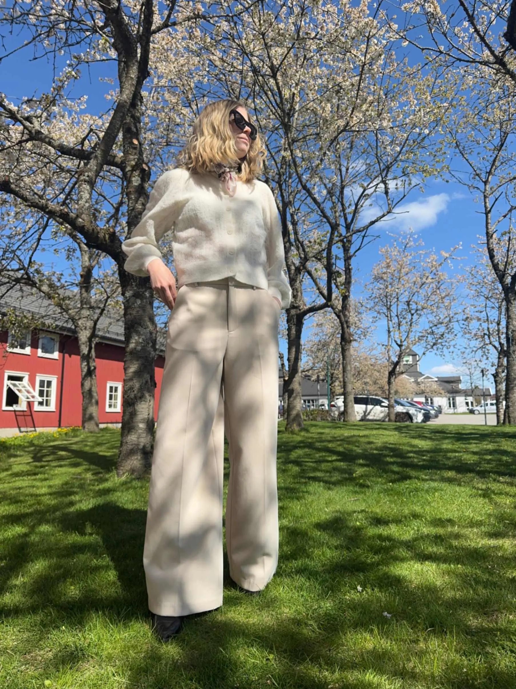 jpeg-optimizer_IMG_8675