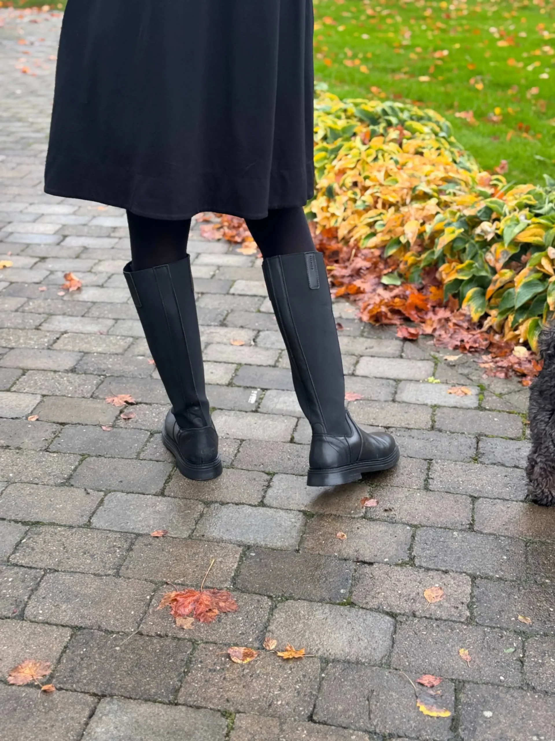 jpeg-optimizer_IMG_2173