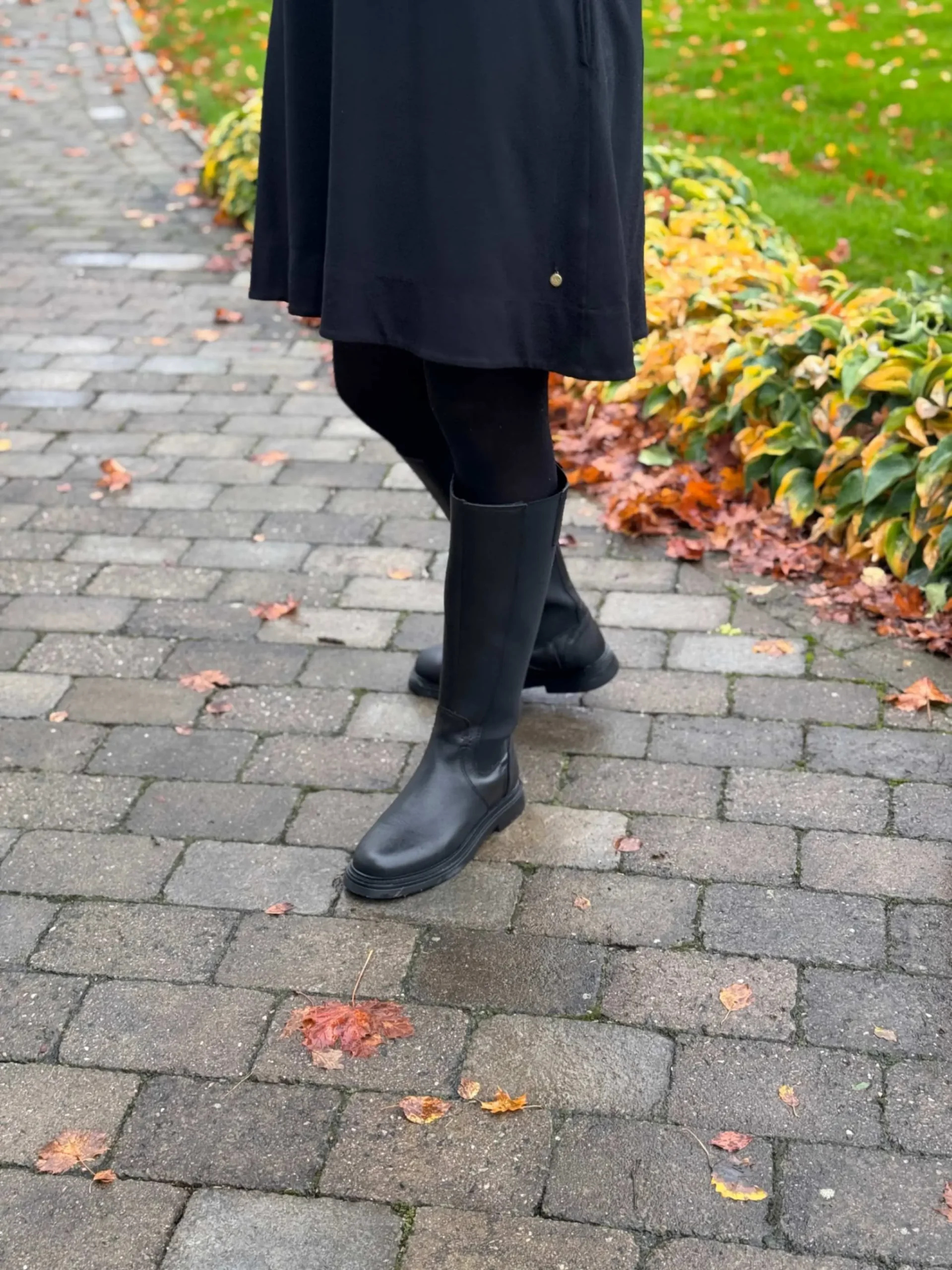 jpeg-optimizer_IMG_2174