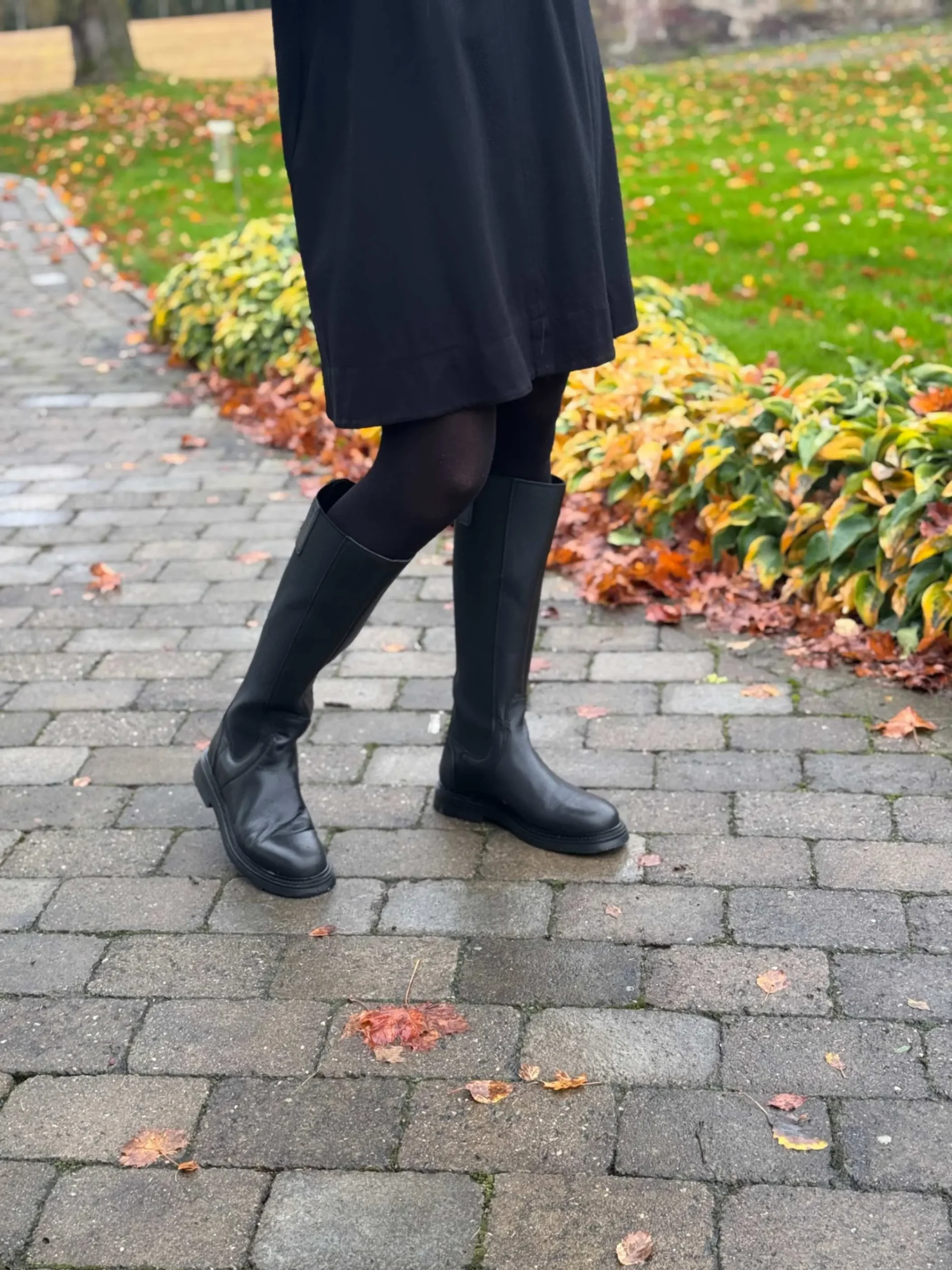 jpeg-optimizer_IMG_2175 (1)