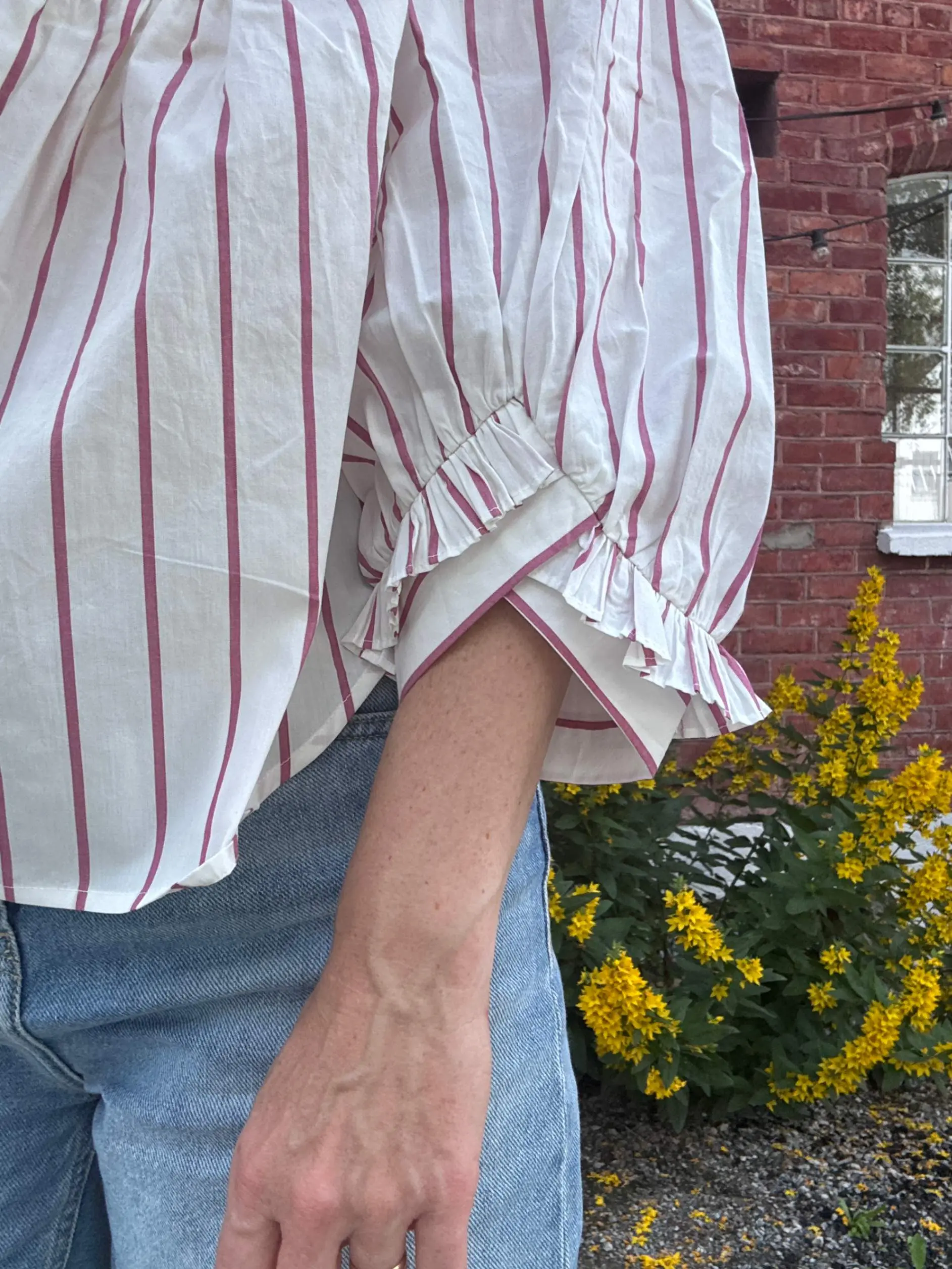 jpeg-optimizer_IMG_7456