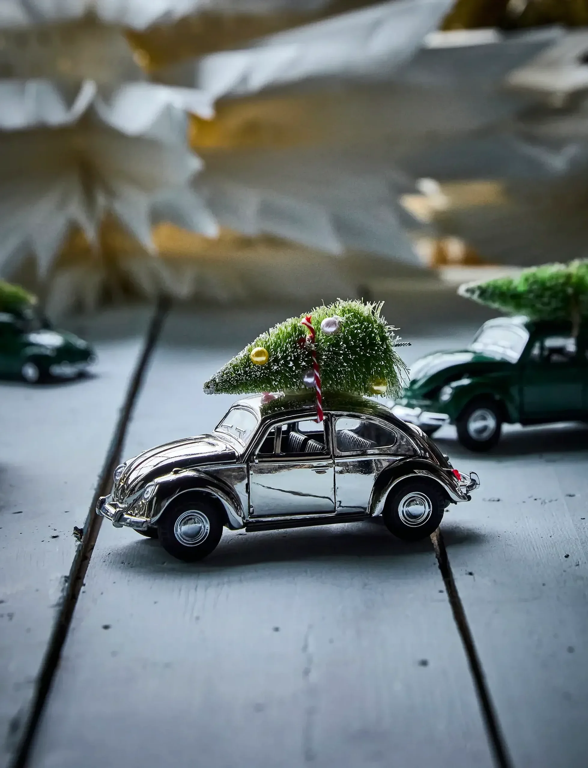 hdr208250031_csilver_10