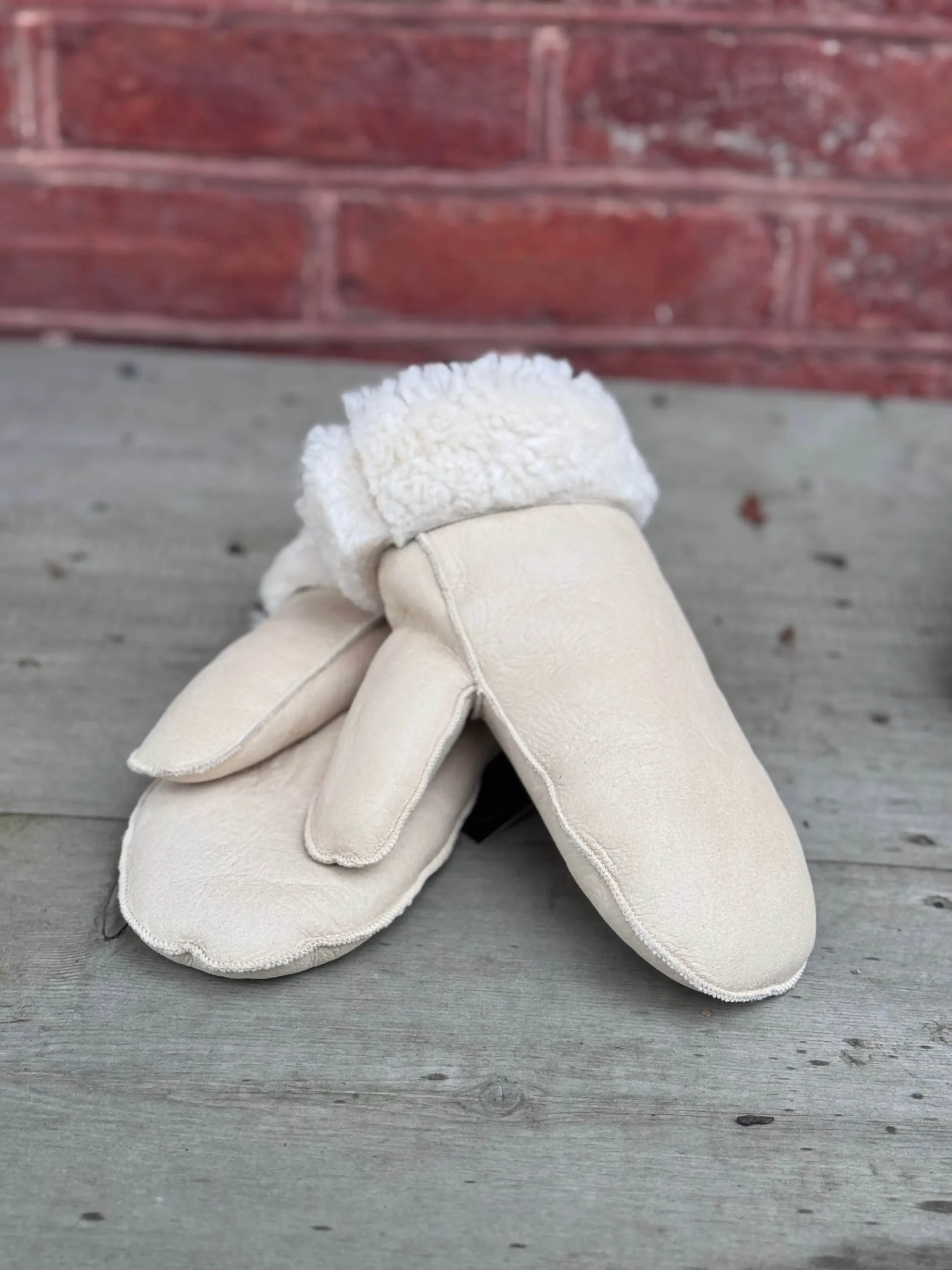 jpeg-optimizer_IMG_2184