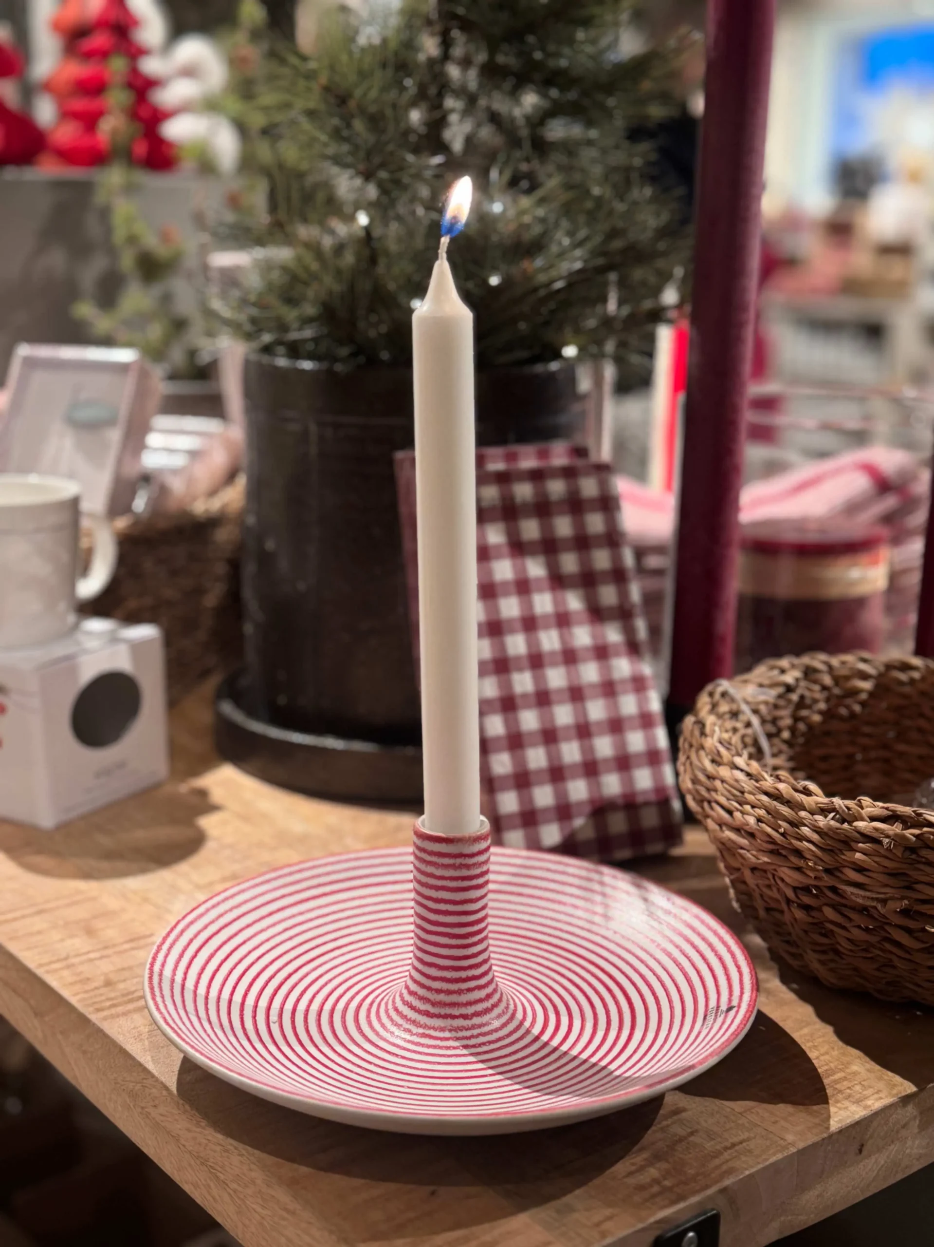 jpeg-optimizer_IMG_1893