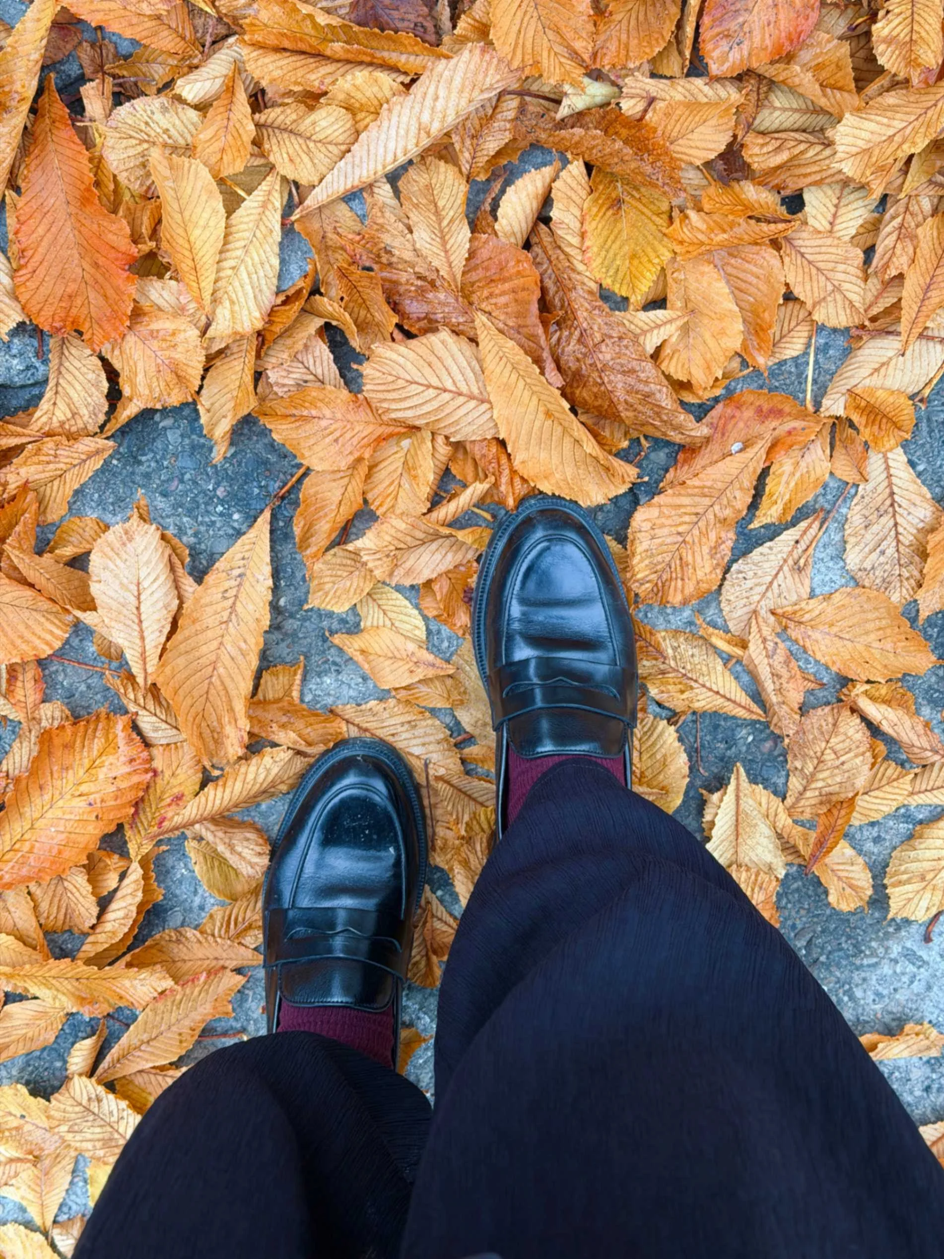Desire Loafers Svart - Bilde 1