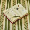 Dear diary figure - Thumbnail Image 2