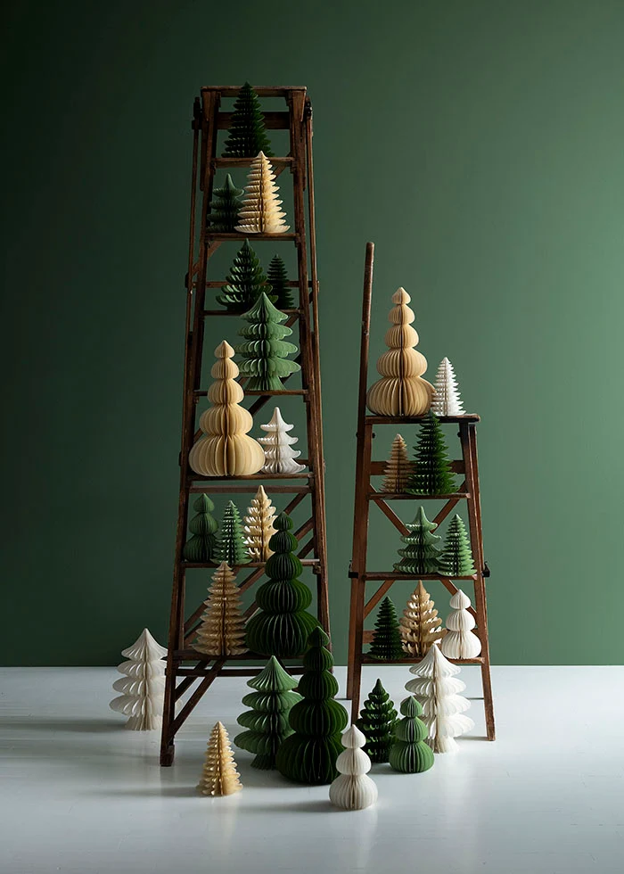 Honeycomp tree andina forest H22 - Bilde 2